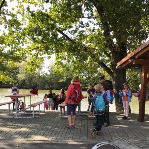 Výprava Lišek do Záchranné stanice v Bartošovicích (29.9.2019)