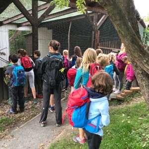 Výprava Lišek do Záchranné stanice v Bartošovicích (29.9.2019)