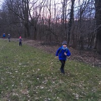 Fotky ze schůzek družiny Lišek