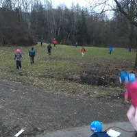 Fotky ze schůzek družiny Lišek