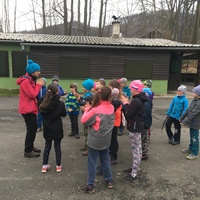 Fotky ze schůzek družiny Lišek