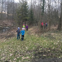 Fotky ze schůzek družiny Lišek