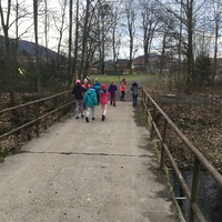 Fotky ze schůzek družiny Lišek