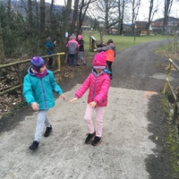 Fotky ze schůzek družiny Lišek