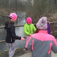 Fotky ze schůzek družiny Lišek