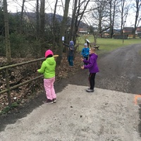 Fotky ze schůzek družiny Lišek