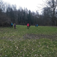 Fotky ze schůzek družiny Lišek