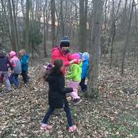 Fotky ze schůzek družiny Lišek