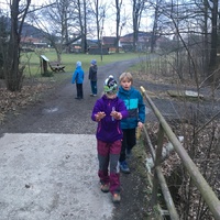 Fotky ze schůzek družiny Lišek