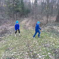 Fotky ze schůzek družiny Lišek