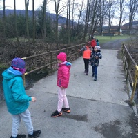 Fotky ze schůzek družiny Lišek