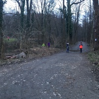 Fotky ze schůzek družiny Lišek