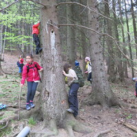 Výprava Lišek na Ivančenu (27.4.2019)
