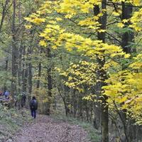 Výprava Kobrů a Sršňů na Klucaninu