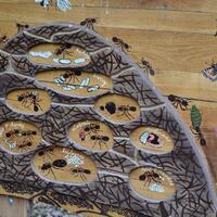 Výprava Kobrů a Sršňů na Klucaninu