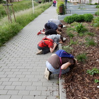 Květnová oddílovka