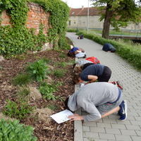 Květnová oddílovka