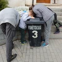 Květnová oddílovka