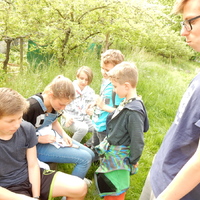 Květnová oddílovka