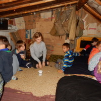 Listopadová oddílovka