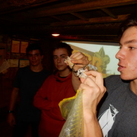 Listopadová oddílovka