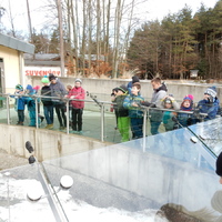 Výprava do Olomouce