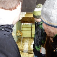 Výprava do Olomouce