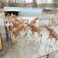 Výprava do Olomouce