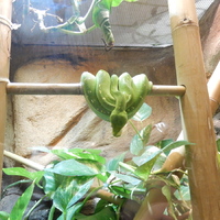 Výprava do Olomouce