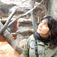 Výprava do Olomouce