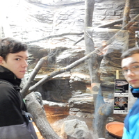 Výprava do Olomouce