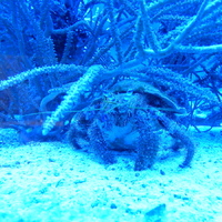 Výprava do Olomouce