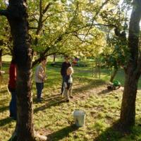 Říjnová oddílovka