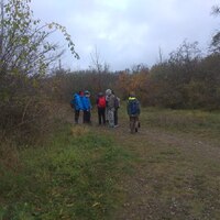 Výprava Sršňů do Těsnohlídkova Údolí