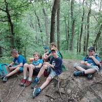 Sršni na Vildenberku