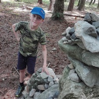 Sršni na Vildenberku