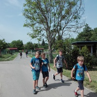 Sršni na Vildenberku