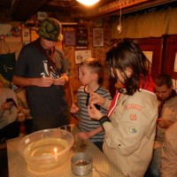 Vánoční oddílovka