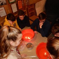 Vánoční oddílovka