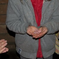 Vánoční oddílovka