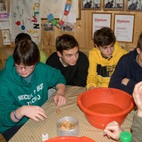 Vánoční oddílovka