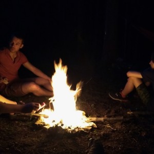 Vlčí puťák okolo Ústí nad Orlicí