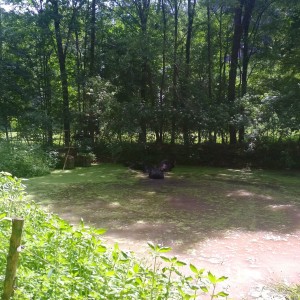 Vlčí puťák okolo Ústí nad Orlicí