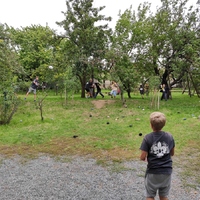 Zahajovací oddílovka