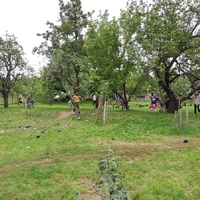 Zahajovací oddílovka