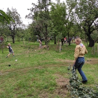 Zahajovací oddílovka