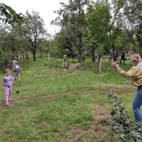 Zahajovací oddílovka