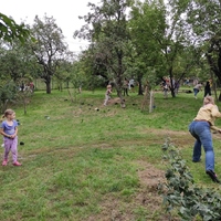 Zahajovací oddílovka