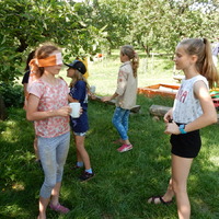 Závěrečná oddílovka