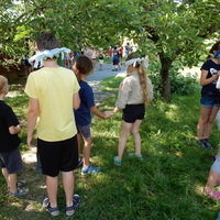 Závěrečná oddílovka